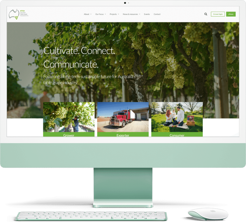 Australian Grapes Website Design Mildura
