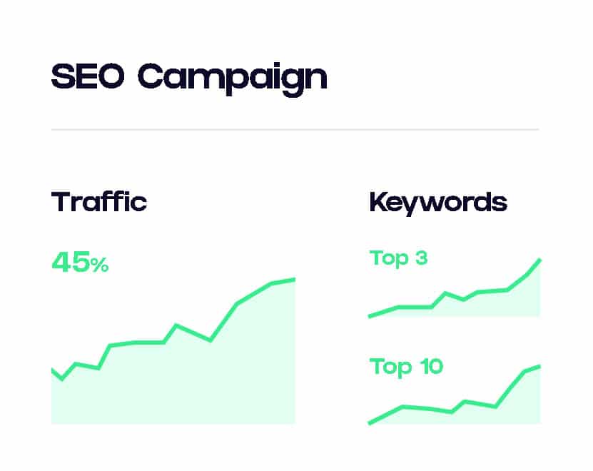 seo campaign results